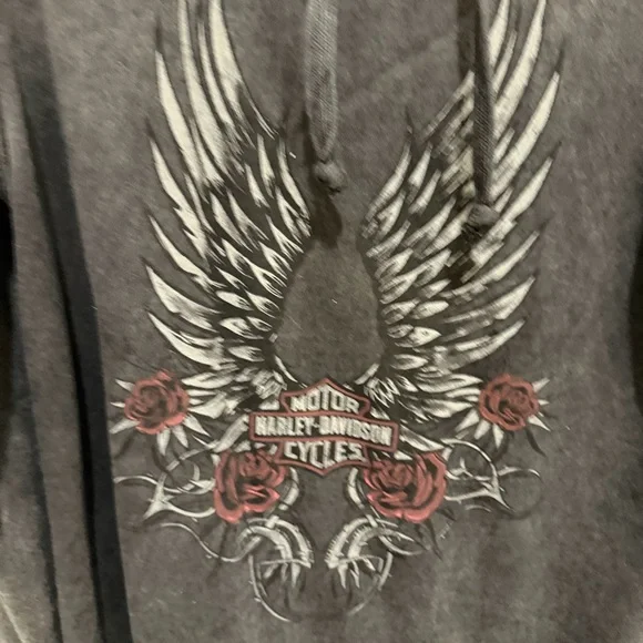 Harley-Davidson Charcoal Winged Hoodie - Picture 3 of 7